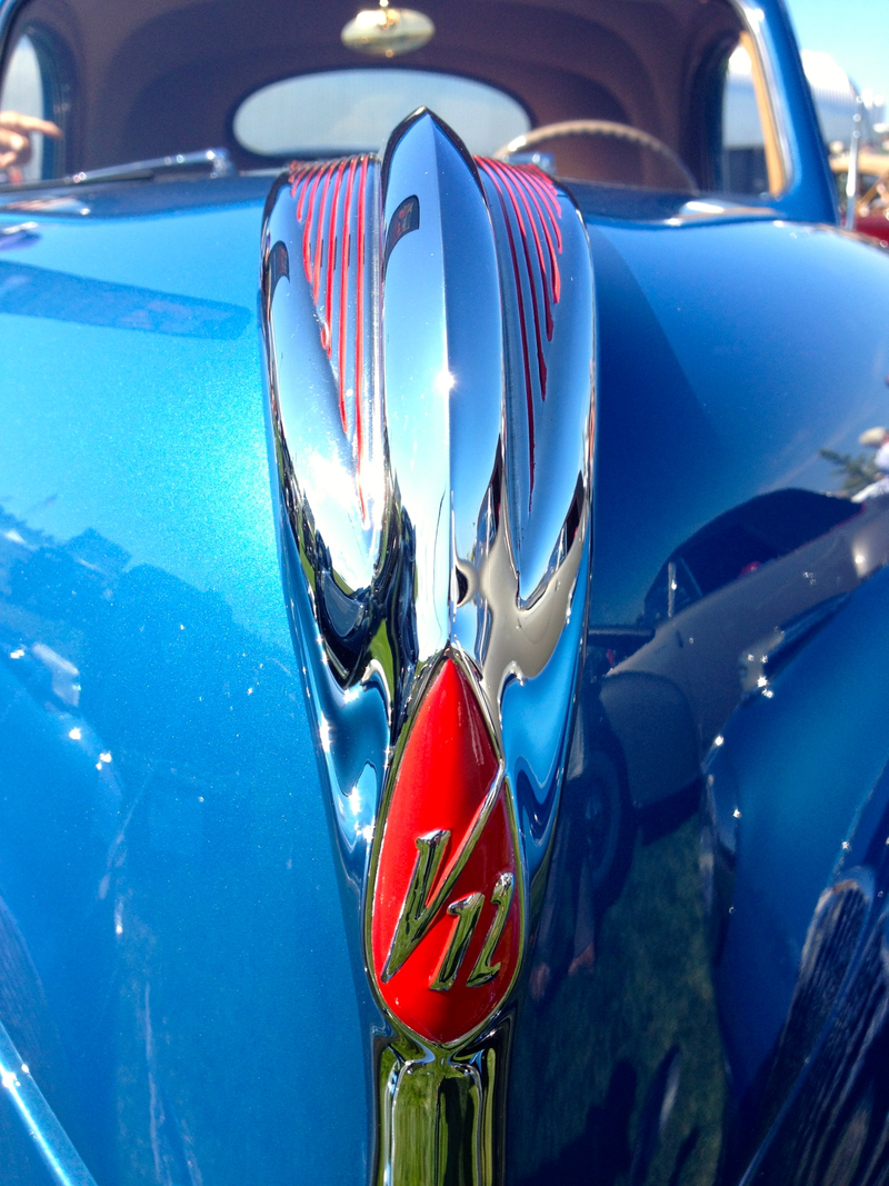 Illustration for article titled Detail Photo Dump from Kirkland Concours!